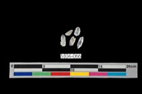 藏品(方解石)的圖片